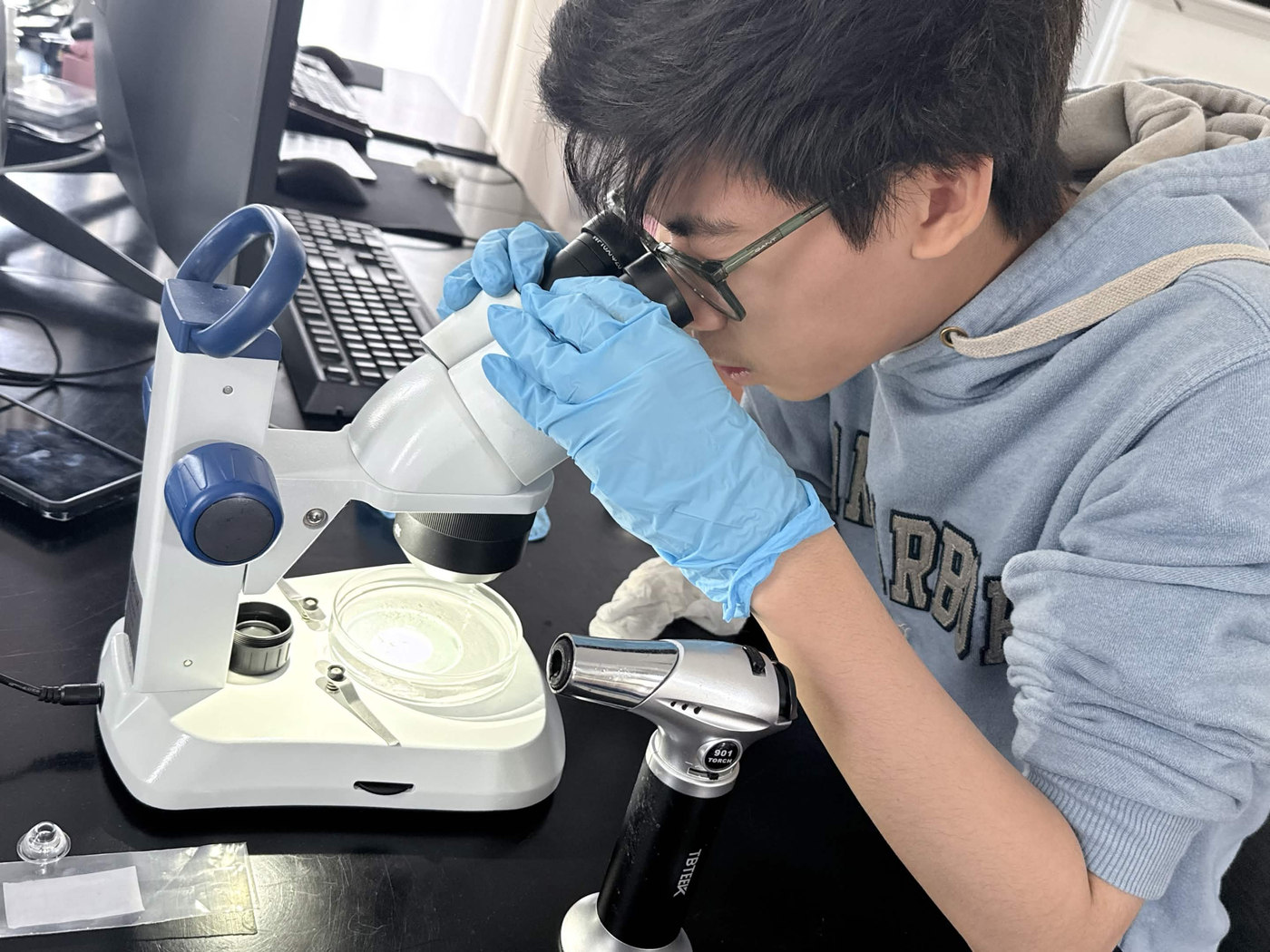 Counting particles under the microscope